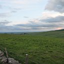 DSC_1129