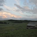 DSC_1131