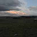 DSC_1132