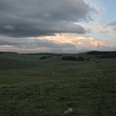 DSC_1133