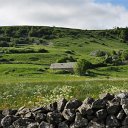 DSC_1138