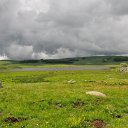 DSC_1164