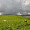 DSC_1167